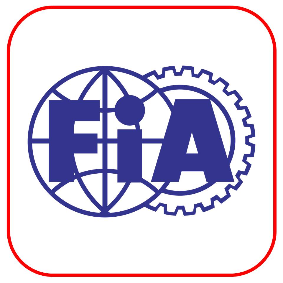 Federación Internacional de Automovilismo